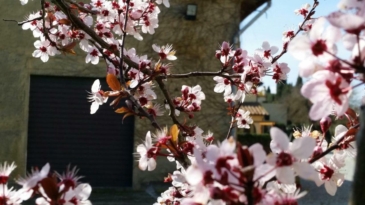 Casale Di Valle Villa Vinci Exterior foto